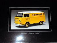 VW/Volkswagen, T2a