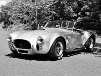 0 AC, Cobra