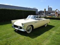 1955 Ford, Thunderbird