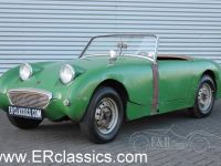1959 Austin-Healey, Sprite Bugeye