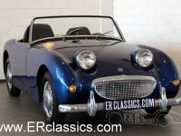 1960 Austin-Healey, Sprite Bugeye