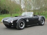 1966 AC, Cobra 289