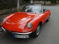 1966 Alfa Romeo, Spider