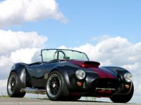 1966 Shelby, Cobra