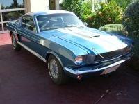1966 Shelby, GT350