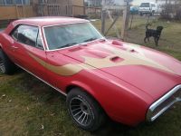 1967 Pontiac, Firebird
