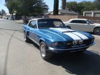 1967 Shelby, GT350