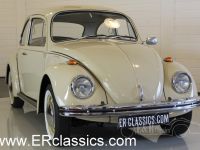 1971 VW/Volkswagen, Beetle - Coccinelle - Fusca - Kafer - Kever