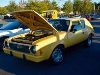 1974 AMC, Other models