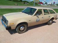 1980 AMC, Other models