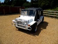 1982 Mini, Other models