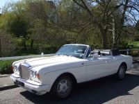 1988 Bentley, Continental Convertible (84-94)
