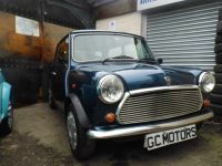 1993 Mini, Other models