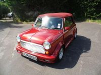 1996 Rover, mini