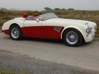 1998 Austin-Healey, Other models