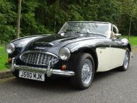 2006 Austin-Healey, Other models